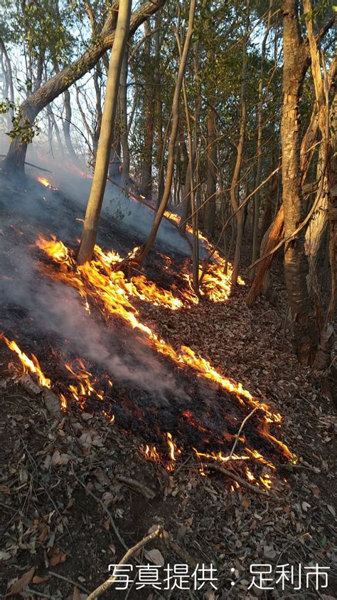 蛇山火事|令和3年足利市山林火災